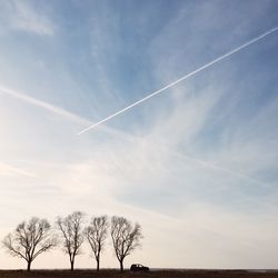 Low angle view of trees against cloudy sky