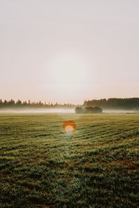 Scenic view of field against sky during sunset