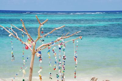 Bare tree decorated with toys on beach