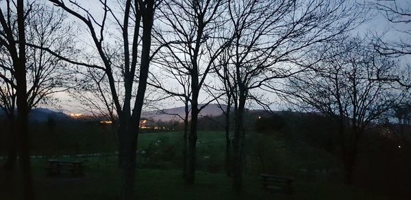 Silhouette bare trees on field against sky at dusk