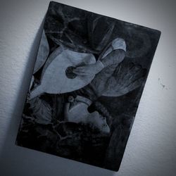 High angle view of rose on plant