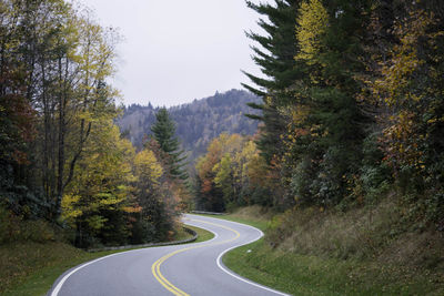 Road amidst trees against sky