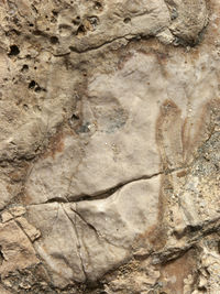 Close-up of stone wall