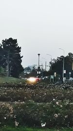 Street by trees against sky in city