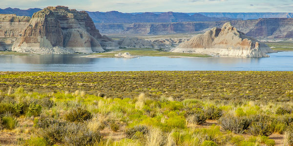 Scenic view of landscape