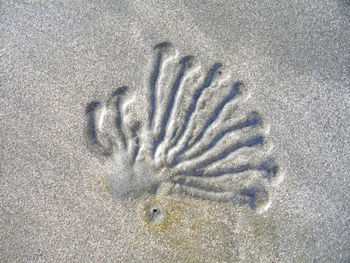 High angle view of footprint on floor