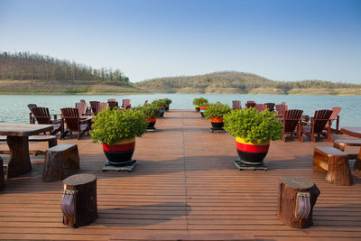 Potted plants on table by lake against sky