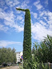 Low angle view of tree against sky