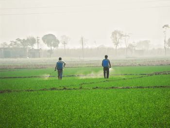 People on field against sky