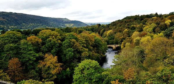 Scenic view of waterfall in forest against sky
