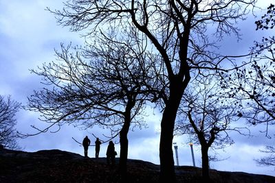 Silhouette tree against sky during sunset