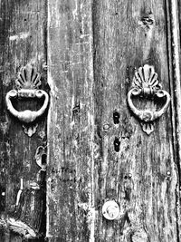 Close-up of door knocker