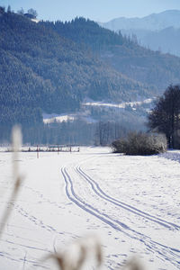 snow