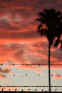 Low angle view of silhouette trees against sky during sunset