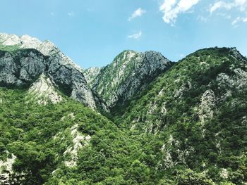 Low angle view of green mountains against sky