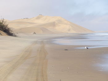 land