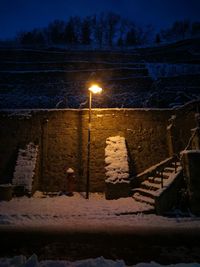 Illuminated street light by frozen lake against sky at night