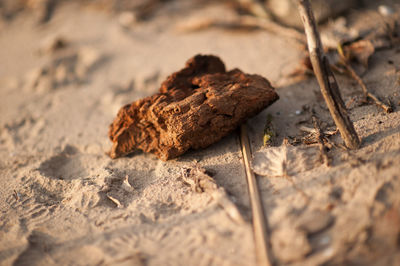 High angle view of bread on sand