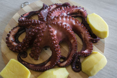 High angle view of dessert served on table