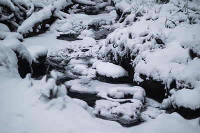 Close-up of snow