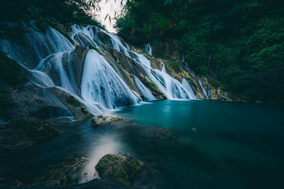 Scenic view of waterfall in forest