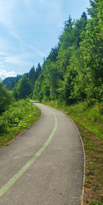 Road amidst trees against sky