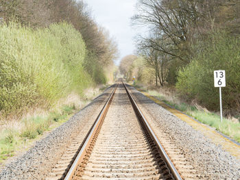 Empty railroad tracks amidst trees
