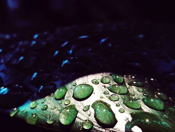 Close-up of water drops on pebbles