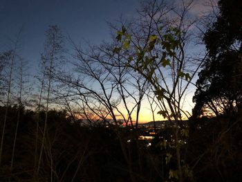 Silhouette trees on landscape against sky at sunset