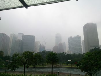 Trees in city against sky