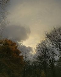 Low angle view of silhouette trees against sky