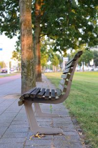 Close-up of table in park