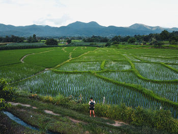 High angle view of man standing by agricultural field against sky