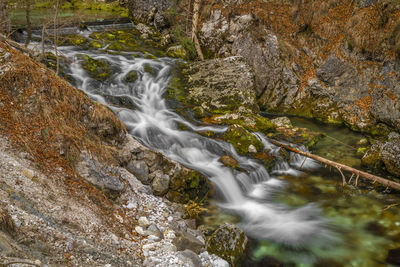 Scenic view of waterfall in forest