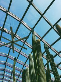 Low angle view of cactus against sky