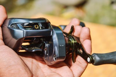 Cropped hand of person holding camera