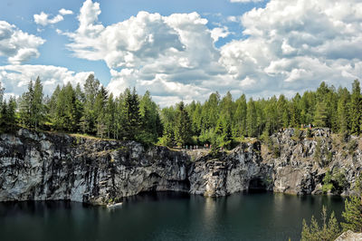 Panoramic view of trees against sky