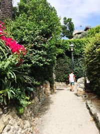 Rear view of man walking by trees