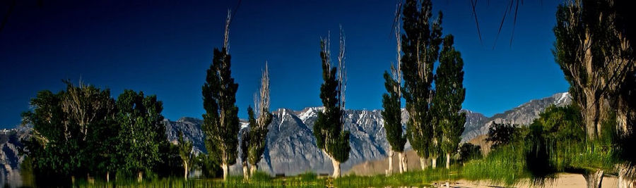 Scenic view of landscape against blue sky