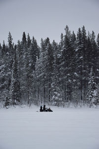 Scenic view of snow covered land and trees in forest