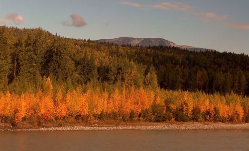Scenic view of lake during sunset