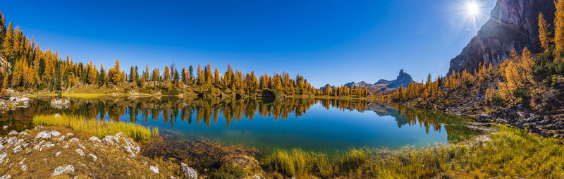 Scenic view of lake by trees against blue sky