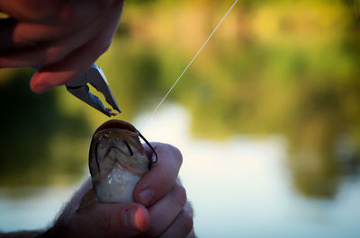 Close-up of man holding leaf