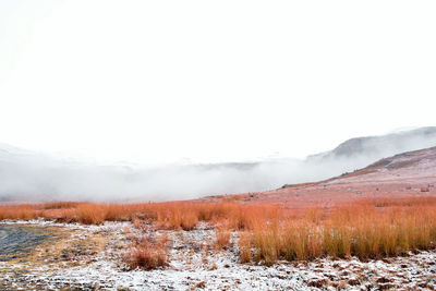 Scenic view of snow covered landscape