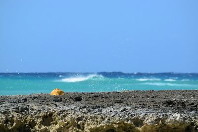 Scenic view of sea against clear blue sky