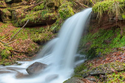 Scenic view of waterfall in forest