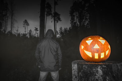 Full frame shot of illuminated pumpkin against trees at night