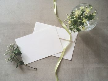 High angle view of white flower on table
