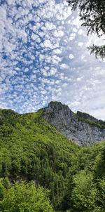 Low angle view of green landscape against sky