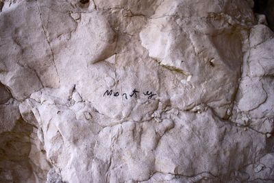 Close-up of eagle flying